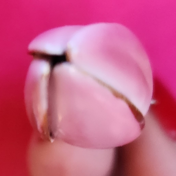 40s SANDOR CO Rose Pink Tulip Bud Olive Green Leaves Enamel Gold RARE Pin Brooch - Picture 12 of 16